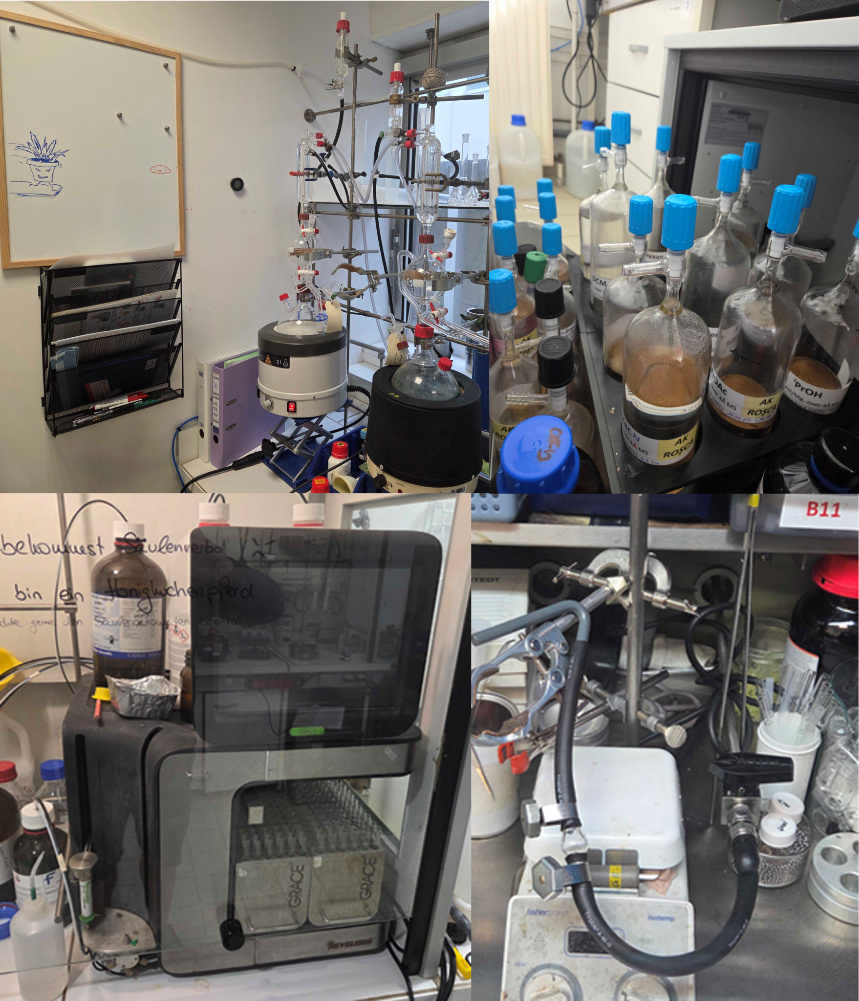 Infrastructure & Collaborations - Rosca Lab