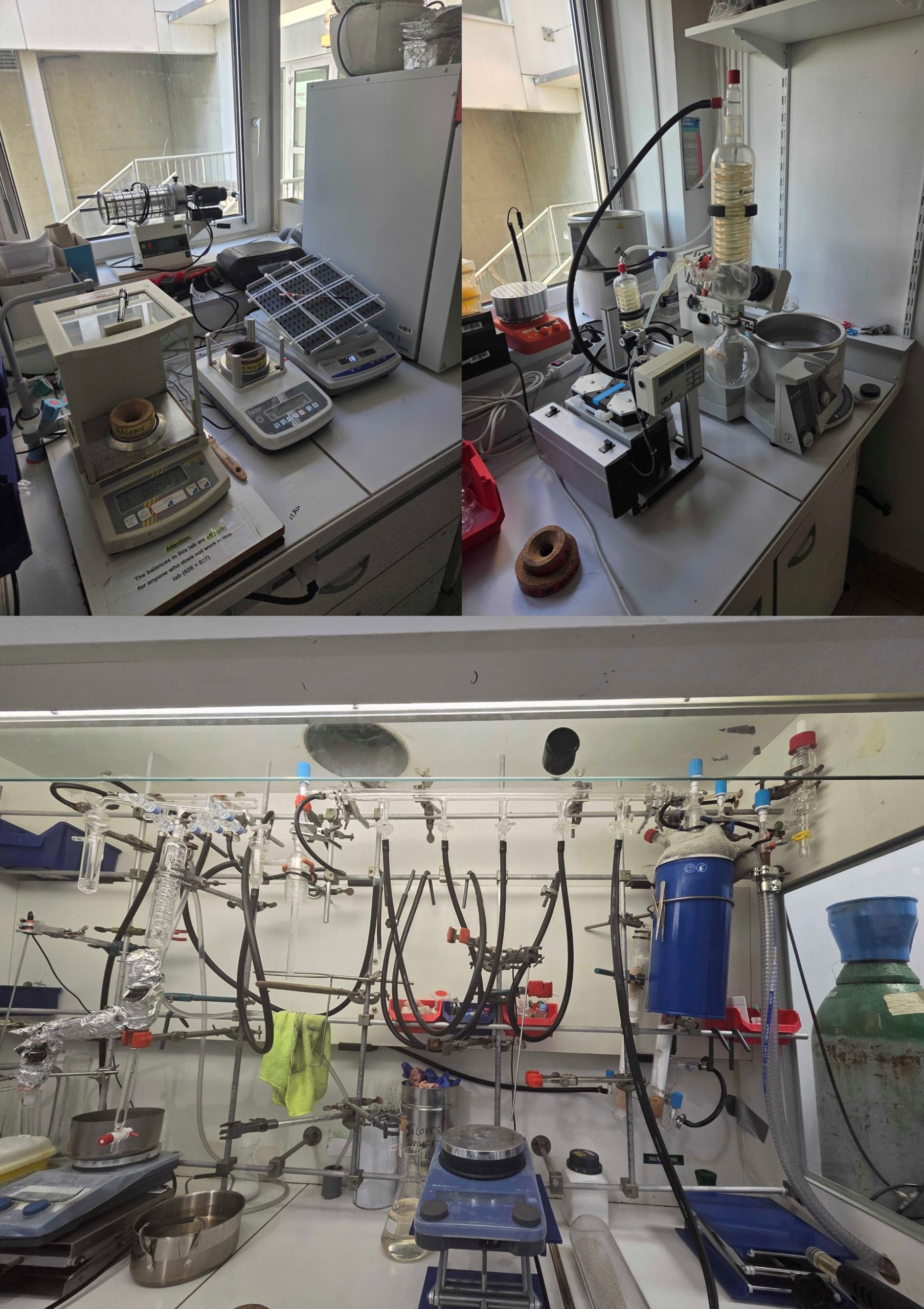 Infrastructure & Collaborations - Rosca Lab